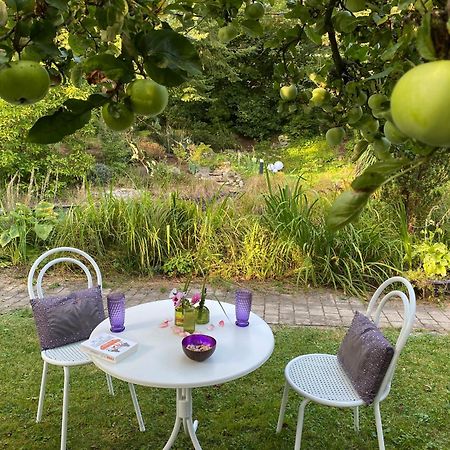 Ferienwohnung In Historischer Villa Mit Gartennutzung Furth im Wald Luaran gambar