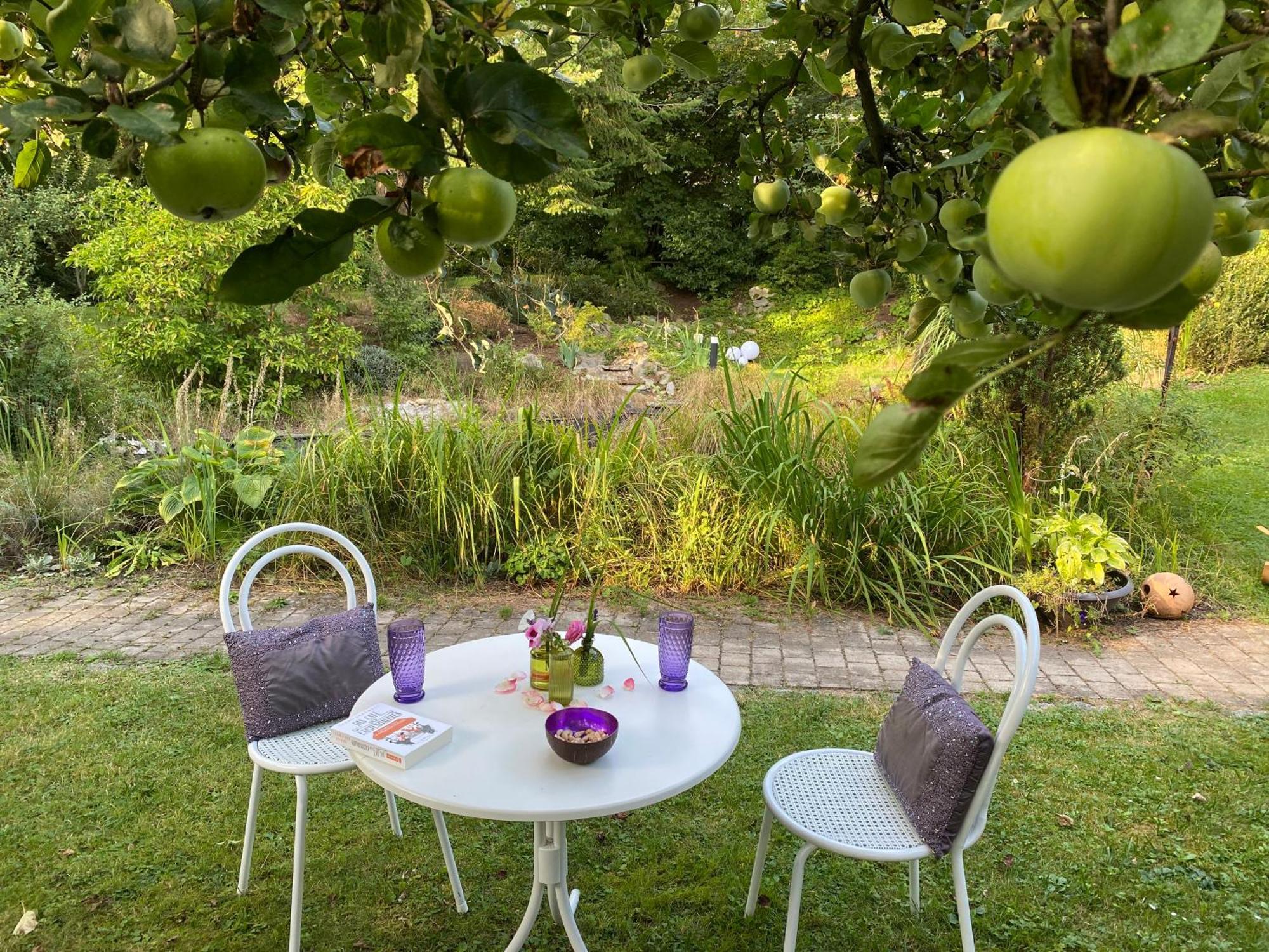 Ferienwohnung In Historischer Villa Mit Gartennutzung Furth im Wald Luaran gambar